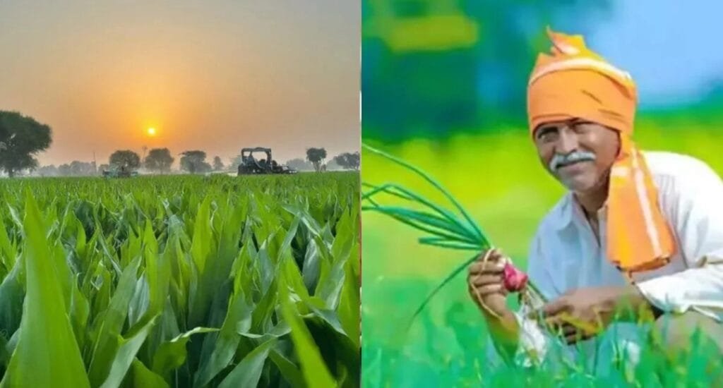 PM Kisan Yojana Beneficiary List