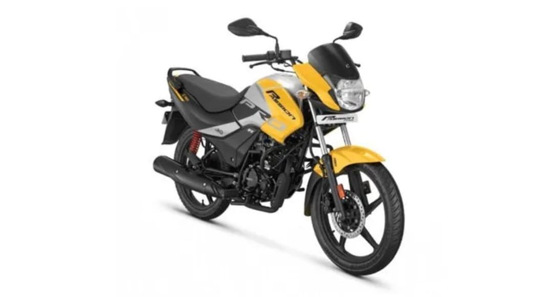 Hero Passion Pro 100