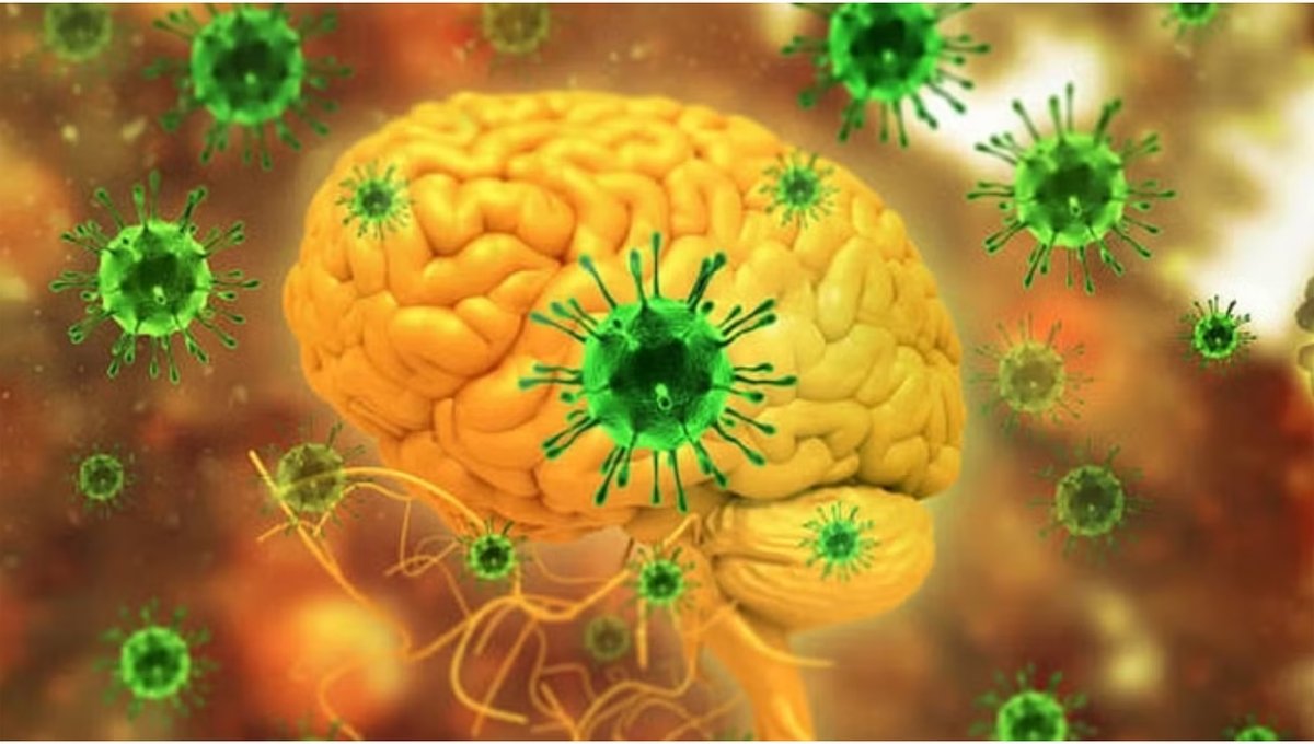 फिर लौटा केरल में Nipah virus, का ख़ौफ़ सावधानी और सतर्कता की ज़रूरत