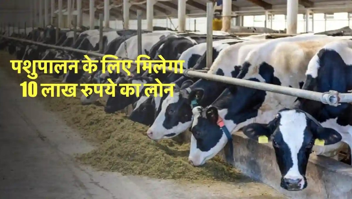 Pashupalan Loan Yojana2025: बिना परेशानी के अपना व्यवसाय शुरू करें