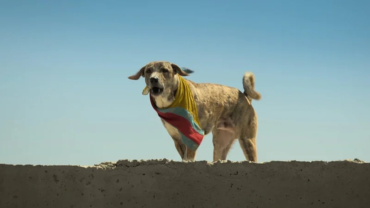 Ohh My Dog Movie Review