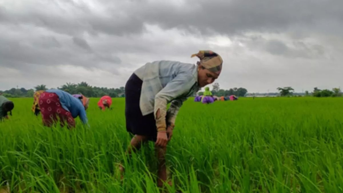 PM Kisan Yojana 2030
