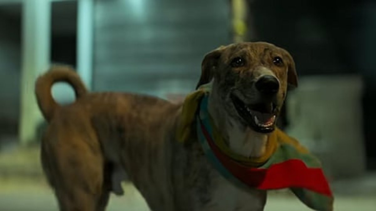 Ohh My Dog Movie Review