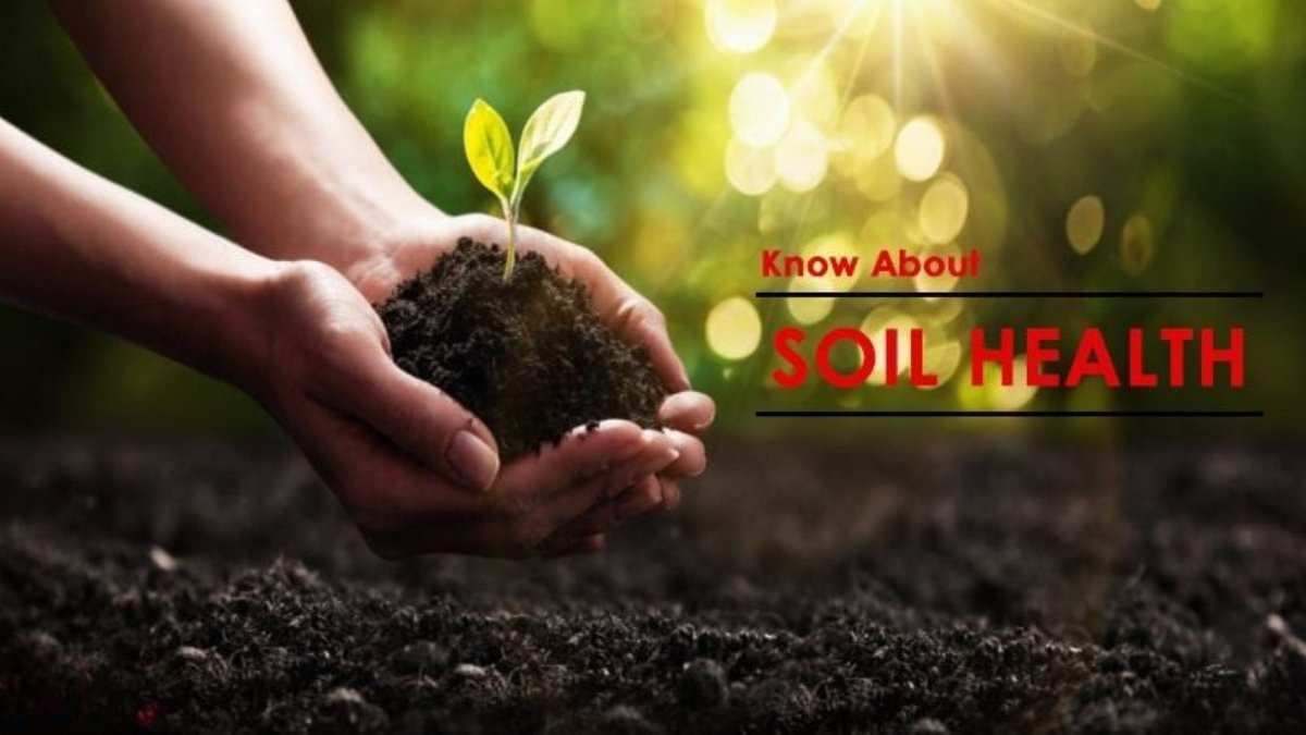 Soil Health Card